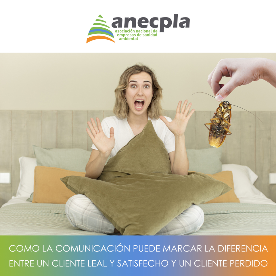 logo Anecpla