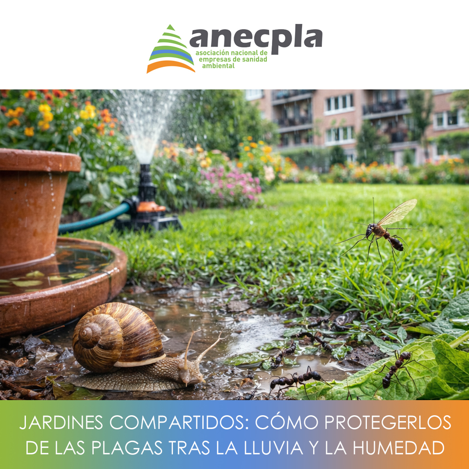 logo Anecpla